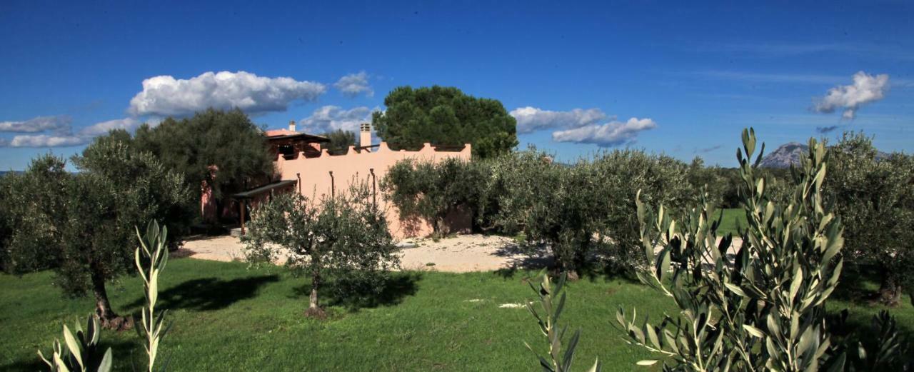 S'Ulumu Casa de hóspedes Dorgali Exterior foto