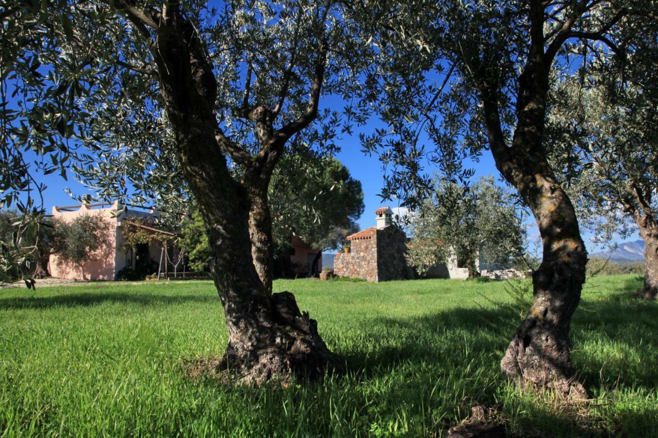 S'Ulumu Casa de hóspedes Dorgali Exterior foto